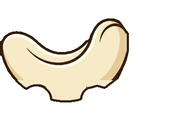 3D Cashew nut